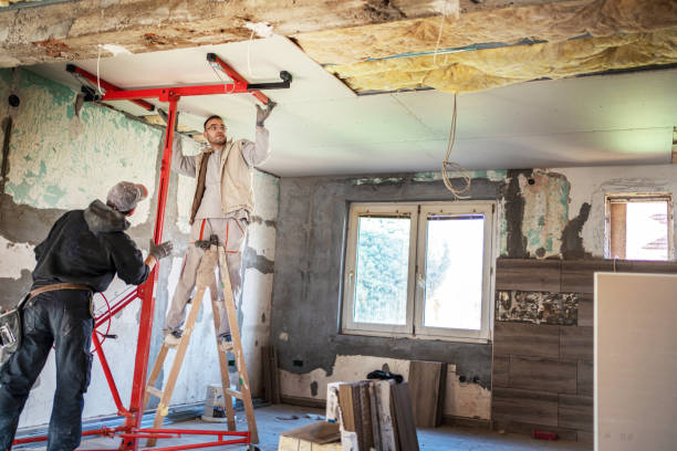 Best Blown-in Insulation in Inver Grove Heights, MN