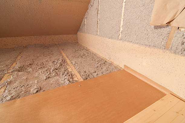 Best Eco-Friendly Insulation in Inver Grove Heights, MN